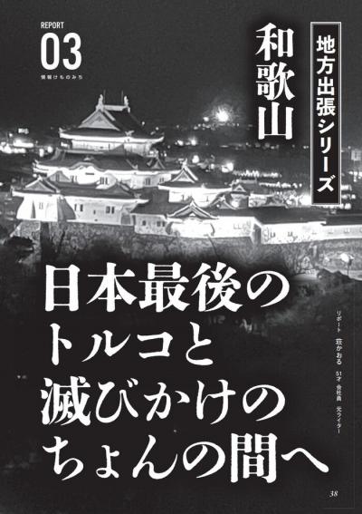 和歌山の裏風俗本サロちょんの間体験談