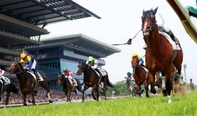 一攫千金 競馬予想1/14    3連単1頭軸マルチ勝負