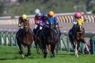 必勝！競馬予想3/24    3連単1頭軸マルチ勝負