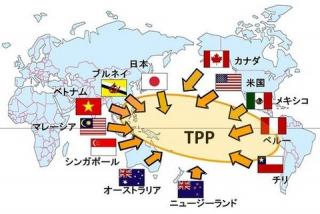 【朗報】TPPで風俗は尻デカ外人だらけに