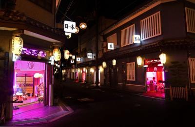 「飛田新地」とかいう大阪の料亭街が凄い　15分11000円でモデル級の美女とエッチ出来てしまう