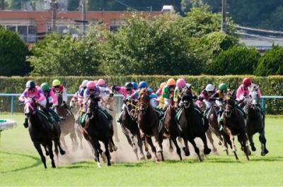 一攫千金 競馬予想10/14   3連単1頭軸マルチ勝負