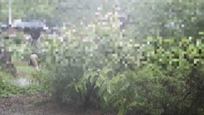 【エロGIF】興奮しすぎてチンポがパキパキ！ゲリラ豪雨で制服がずぶ濡れになった女子●生がレ●プ不可避ｗｗｗ