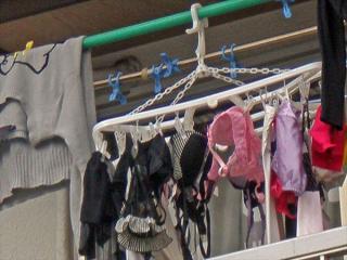 洗濯した下着を人目につくように干す女は何を考えてるんだろうか 参考画像18枚