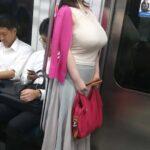 【画像】地下鉄にて犯罪的に大き過ぎる乳をぶら下げたエロリストが目撃される