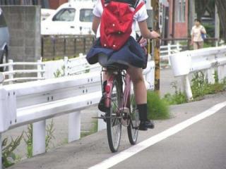 【画像】自転車通学中に強風でパンモロしちゃうミニスカJK達www 35枚