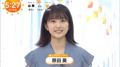 【元欅坂46】原田葵アナ、ワキを見せつける.....w