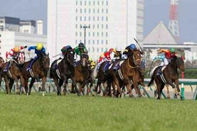 必勝！競馬予想5/20   3連単1頭軸マルチ勝負