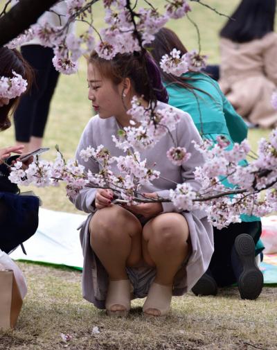 花見パンチラ画像45枚 桜の下でパンツ見えまくりな素人盗撮集めてみた