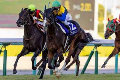 必勝！競馬予想12/28   3連単1頭軸マルチ勝負