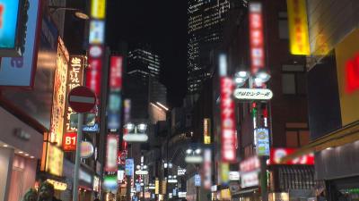 渋谷で発見した２８歳爆尻美女を家まで送ってイイですか？性欲が強過ぎる筋トレ女子の魔性のマ●コ…謎のピストンバイブで毎日オナニー