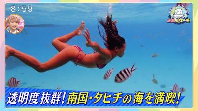 フジTV、タヒチリゾートの褐色美女のダイビング中の乳首ポロリを写してしまう放送事故w