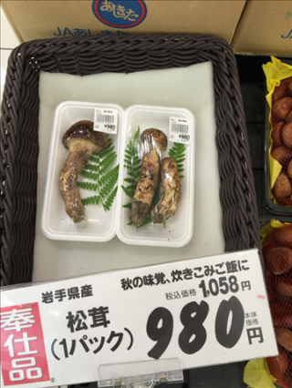 【画像】国産の松茸980円のやつ見つけたったｗｗｗｗｗｗ