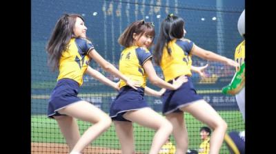 世界野球プレミア台湾戦で美少女チアリーダー軍団、応援ダンスがエロすぎるw