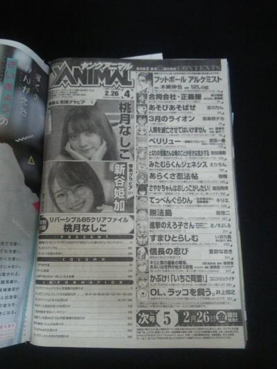 Young Animal ヤングアニマル 2023.02.10 No.03 本郷柚巴 from NMB48