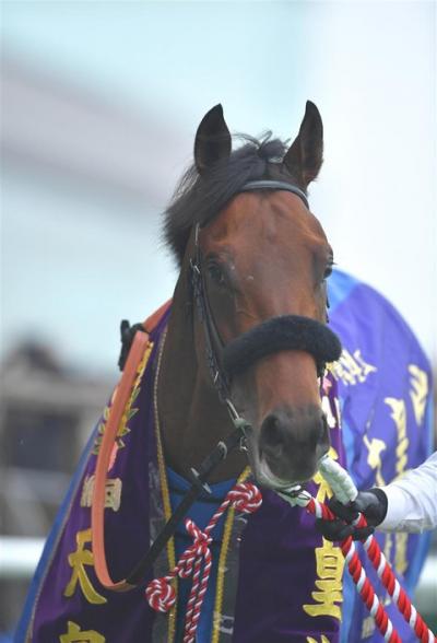 天皇賞・秋　皐月賞馬エフフォーリアが古馬撃破、19年ぶり３歳馬Ｖ　２着はコントレイル  [Anonymous★]