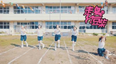 【動画】豆柴の大群、スクール水着姿を披露　番組ネタ盛り込んだ新曲MV公開！