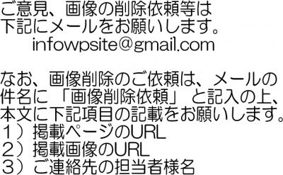 【画像＋動画】プールで仲良くなった胸と太ももがエロい一見清楚な某大企業の受付嬢が勃起したチンコをフェラする画像をお楽しみ下さい[24枚]