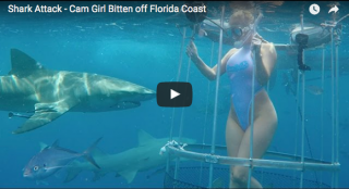 【動画あり】水中撮影中の米AV女優がサメに襲われる事故が発生した件