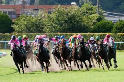 一攫千金　競馬予想1/5    3連単1頭軸マルチ勝負