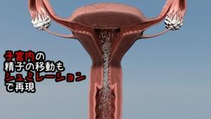 3d cg 断面図　エロ 