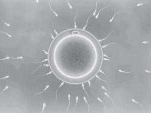 中出し　拒否 生でヤりたがる彼氏に拒否をするが嫌われるのが嫌なJKが、決意の ...