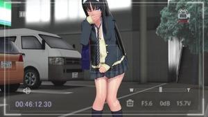 【月姫MMD制服女子高生（ＪＫ）３Ｄエロアニメ】お嬢様美少女遠野秋葉をリモコンバイブで欲情させ野外露出中出しレイプイラマ