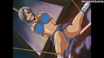 ガチガチに身体を縛られ猿轡まで装着された女は興奮する男に何も逆らえず調教される アニメエロタレスト